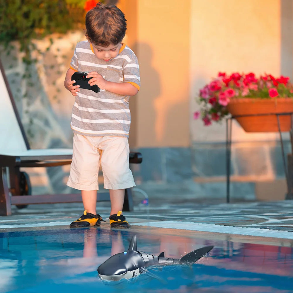 RC Shark