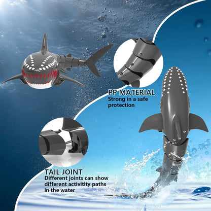 RC Shark
